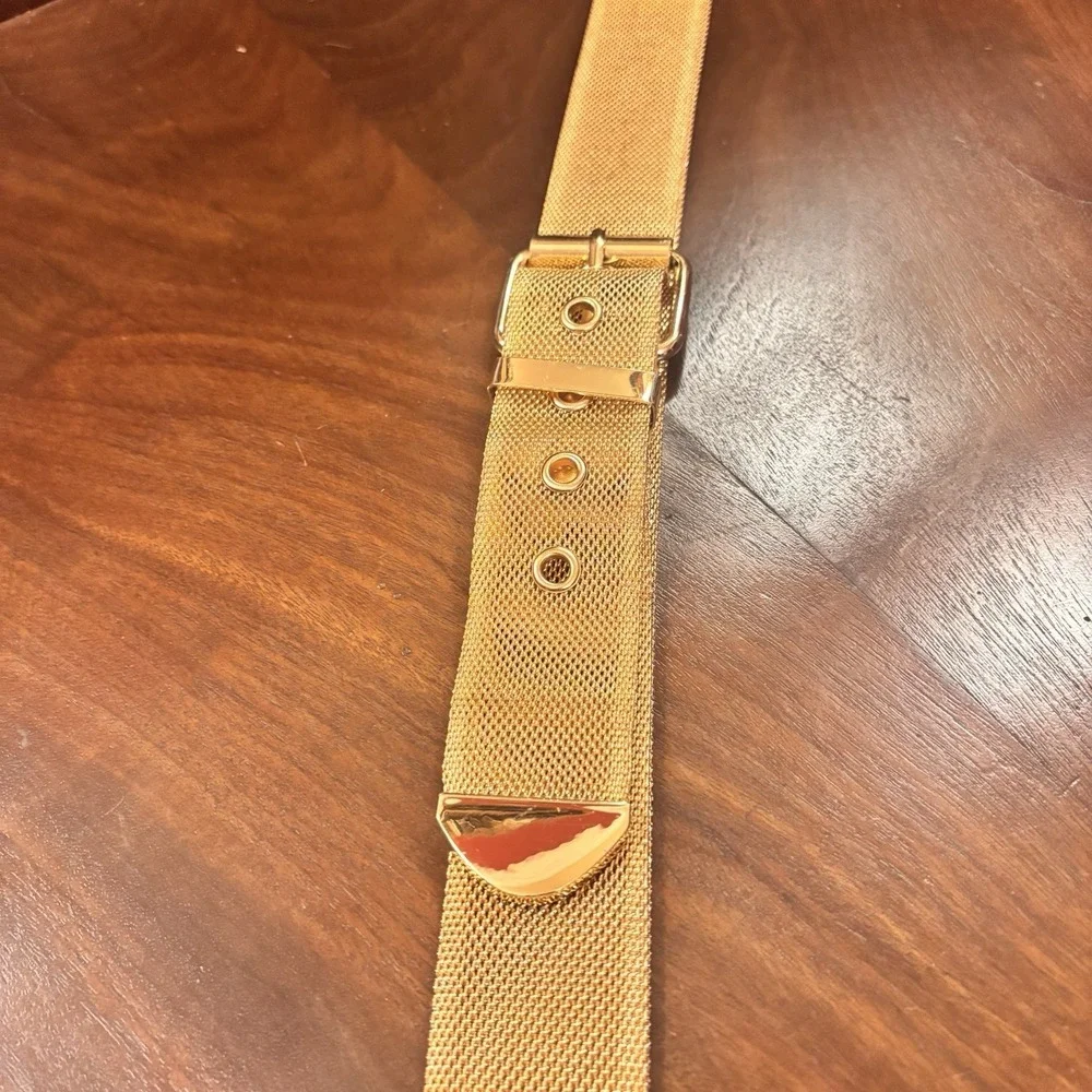 Gold Mesh Belt Xl 44